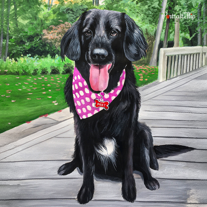 Black dog pastel pet portrait painted wearing a pink bandana